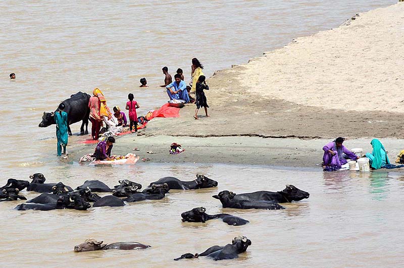 Gypsy women are washing the cloths at Indus River