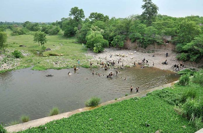 Youngsters jumping and bathing in water channel of Rawal Dam to get some relief from hot weather in Federal Capital
