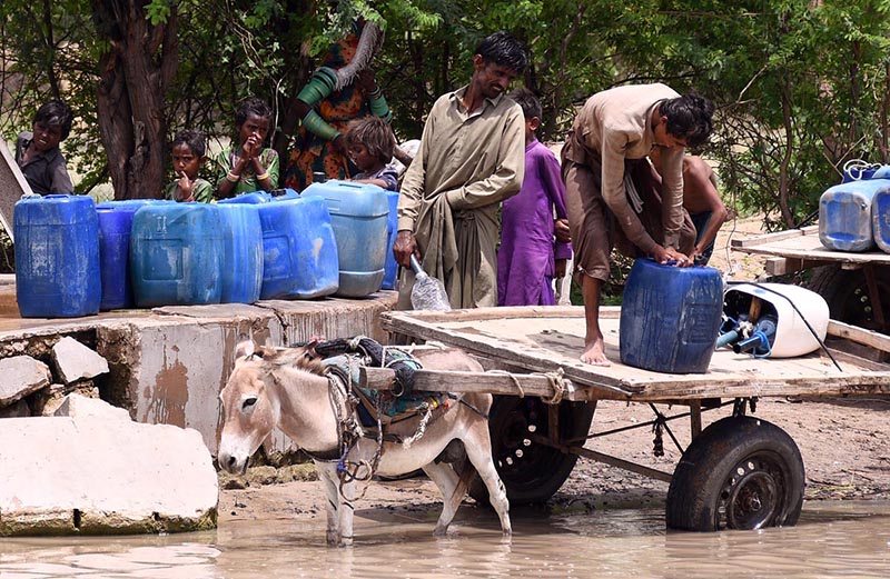 Workers busy in loading the water cans on donkey cart after filling the water at local Village