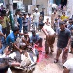 A bull being slaughtered on the third day of Eid-ul- Azha in Korangi area