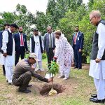 First Lady Begum Samina Alvi planting a sapling as part of monsoon plantation season at Aiwan-e-Sadr