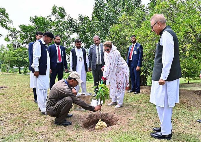 First Lady Begum Samina Alvi planting a sapling as part of monsoon plantation season at Aiwan-e-Sadr