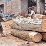 Labourer are cutting huge wood into pieces at the Timber Market.
