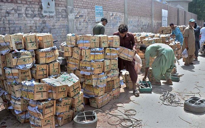 Labourers are busy in packing seasonal fruit mango in wooden boxes to deliver in a local market