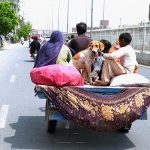 Gypsy family are traveling on the tricycle rickshaw with dog heading towards their destination