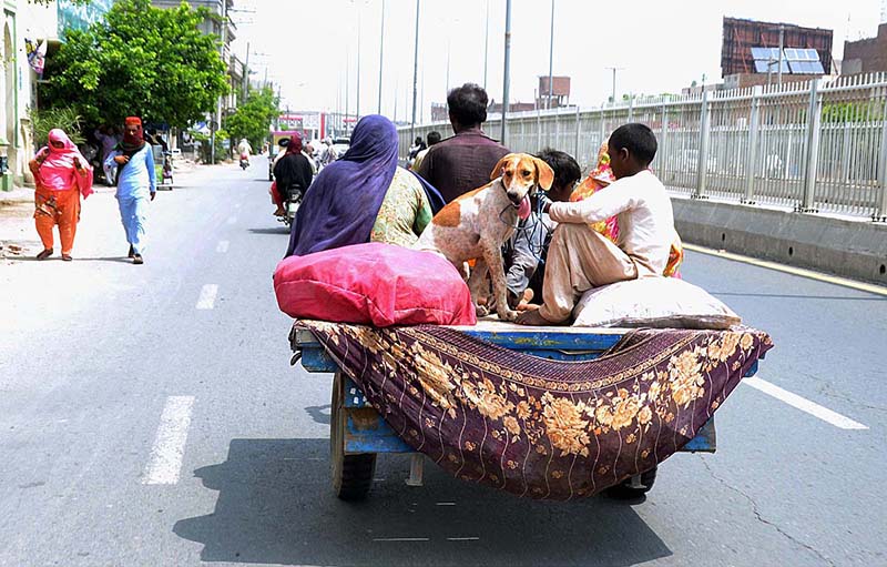 Gypsy family are traveling on the tricycle rickshaw with dog heading towards their destination