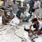 Workers preserving the hides of sacrificial animals by applying salt
