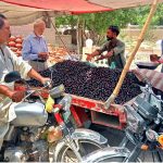 People purchasing Jaman from a vendor’s pushcart setup
