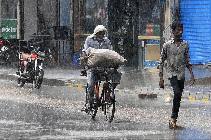 A woman on the way under cover of an umbrella to protect from rain that experience the city