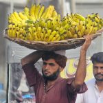 A young laborer carrying bananas on his head for delivery at Fruit Market