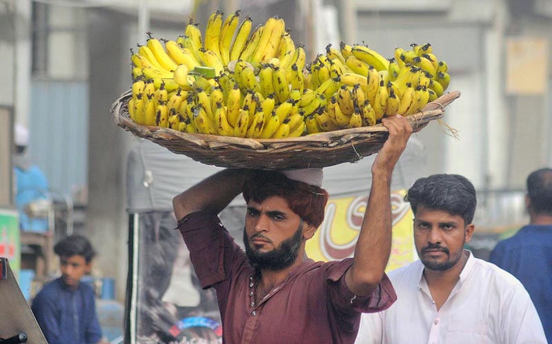 A young laborer carrying bananas on his head for delivery at Fruit Market