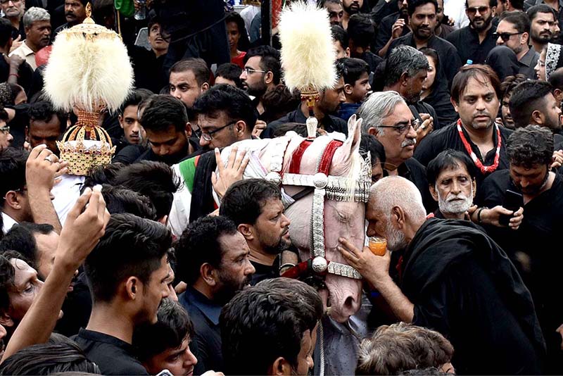 Mourners touch Zuljinah during the main procession of 9th Muharram-ul-Haram observing Youm-e-Ashur. Muharram ul Harram, the first month of the Islamic calendar is known as the mourning month to pay homage in remembrance of the martyrdom (Shahadat) of Hazrat Imam Hussain (AS), the grandson of the Holy Prophet Mohammad (SAWW), along with his family members and companions at the battle of Karbala