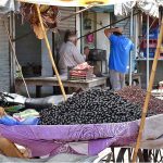A vendor waiting for customers to sell seasonal fruit “jaman” at his roadside setup