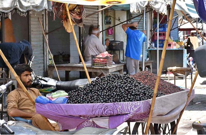 A vendor waiting for customers to sell seasonal fruit “jaman” at his roadside setup A vendor waiting for customers to sell seasonal fruit “jaman” at his roadside setup