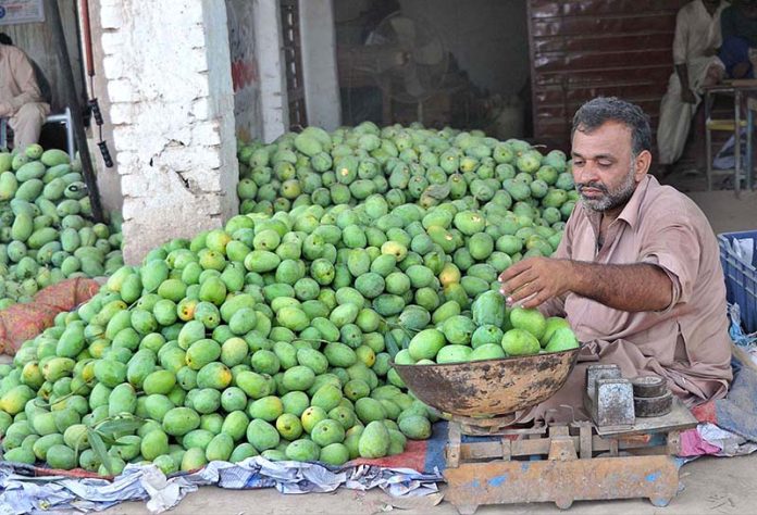 A trader selling seasonal fruit mango at Fruit Market