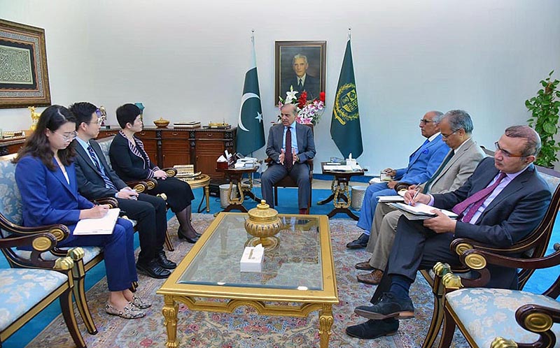 Pang Chunxue, The Chargeé D'affaires of the Chinese Embassy in Pakistan calls on Prime Minister Muhammad Shehbaz Sharif