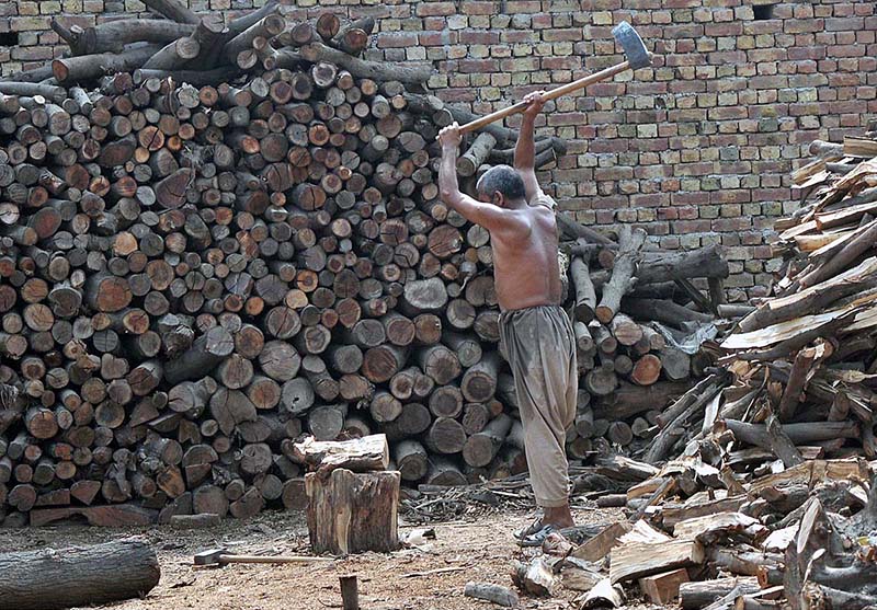 Labourer busy in cutting wood into pieces at his workplace