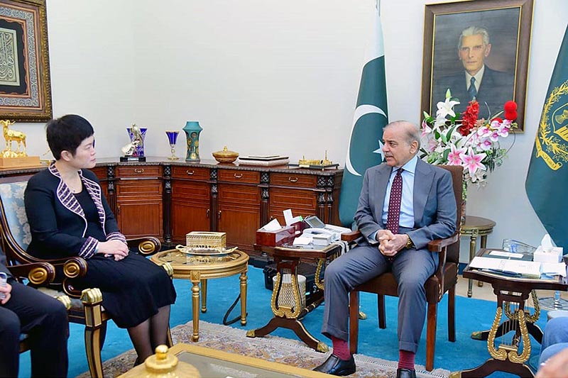 Pang Chunxue, The Chargeé D'affaires of the Chinese Embassy in Pakistan calls on Prime Minister Muhammad Shehbaz Sharif