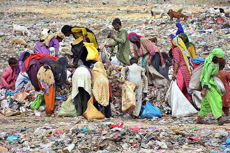 A large numbers of gypsy women with children searching valuable items from garbage at Latifabad.