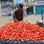A vendor displaying the tomatoes to attract the customers at Qasimabad