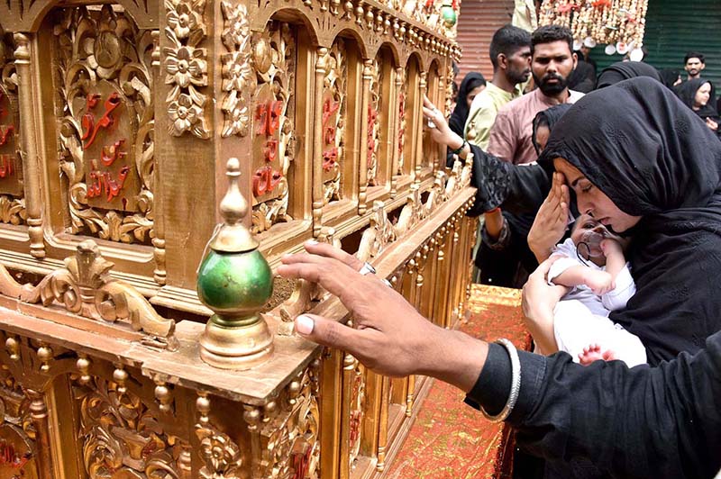 Mourners touch Zuljinah during the main procession of 9th Muharram-ul-Haram observing Youm-e-Ashur. Muharram ul Harram, the first month of the Islamic calendar is known as the mourning month to pay homage in remembrance of the martyrdom (Shahadat) of Hazrat Imam Hussain (AS), the grandson of the Holy Prophet Mohammad (SAWW), along with his family members and companions at the battle of Karbala