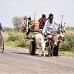 Gypsy family traveling on donkey cart at Mashori Shareef Village on the way towards their destination