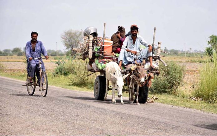 Gypsy family traveling on donkey cart at Mashori Shareef Village on the way towards their destination