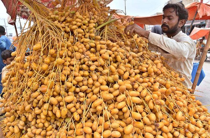 A vendor arranging fresh dates to attract the customers at Miro Khan Road
