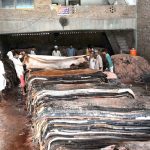 Workers adding salt to preserve the hides of sacrificial animals at their warehouse