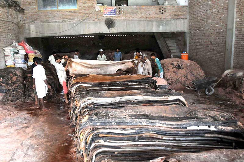 Workers adding salt to preserve the hides of sacrificial animals at their warehouse