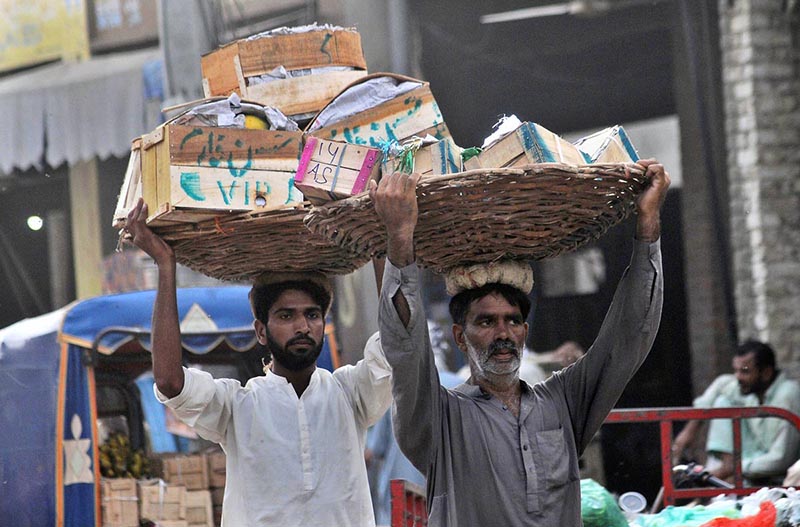 Labourers carrying baskets of wooden boxes on their heads to earn a livelihood at a Fruit Market in the city