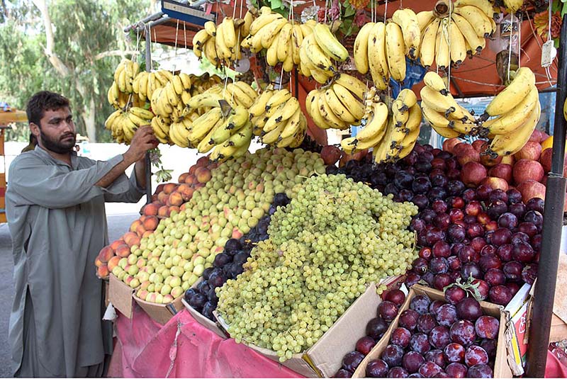 A vendor displaying fruits to attract the customers at Sheikh Zaid Women Hospital Road