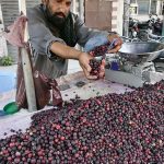 A vendor is busy displaying and arranging falsa for customers at his road side setup