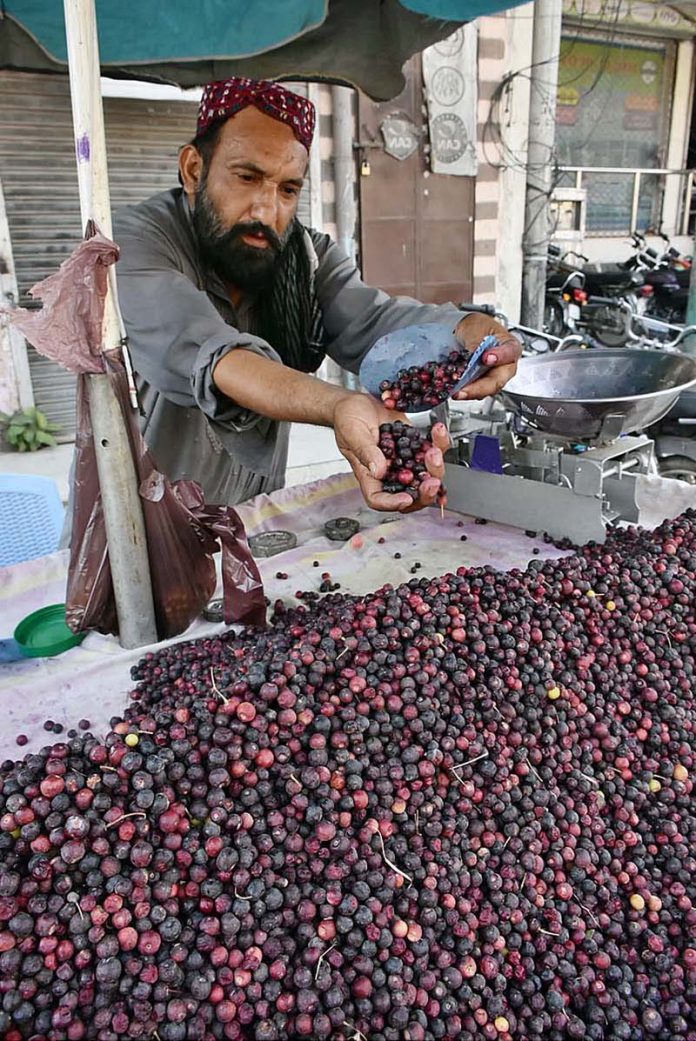 A vendor is busy displaying and arranging falsa for customers at his road side setup A vendor is busy displaying and arranging falsa for customers at his road side setup