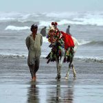 Horse owner patiently waiting for customers at Sea view