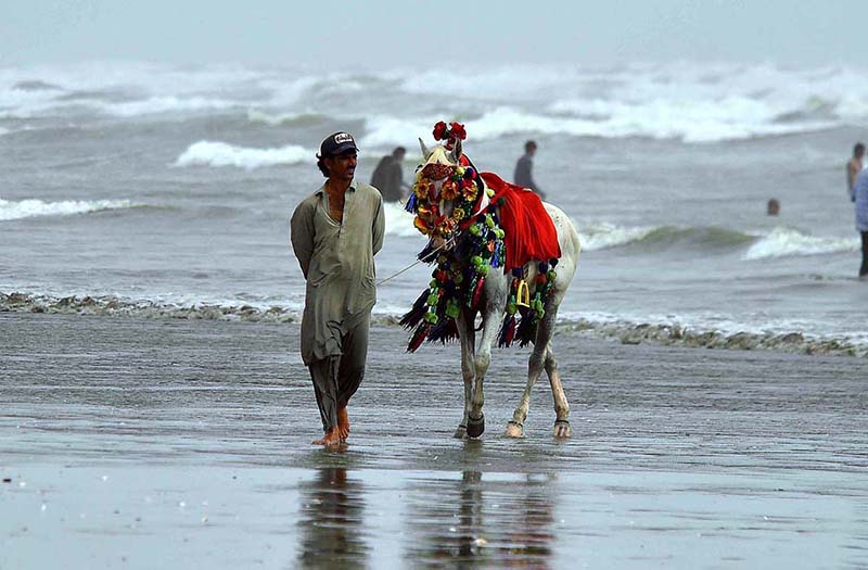 Horse owner patiently waiting for customers at Sea view