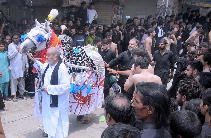 A large number of mourners touch Zuljinnah during the Aashura procession at Mumtazabad on 9th Muharram-ul-Haram in remembrance of the martyrdom (Shahadat) of Hazrat Imam Hussain (AS), the grandson of the Holy Prophet Mohammad (SAWW) and other martyrs of Karbala incident