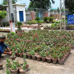 Gardener decorating pots of different colored flowers for selling purpose at his roadside setup