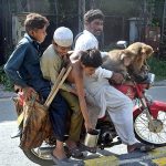 A juggler on the way along with his pets heading towards his destination