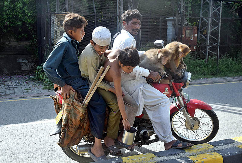 A juggler on the way along with his pets heading towards his destination