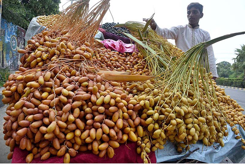 A vendor displaying and selling fresh dates at his road side setup