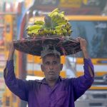 A laborer carrying a basket of bananas on his head during an auction as shopkeepers participate in bidding on fruit (Banana) at a Fruit Market