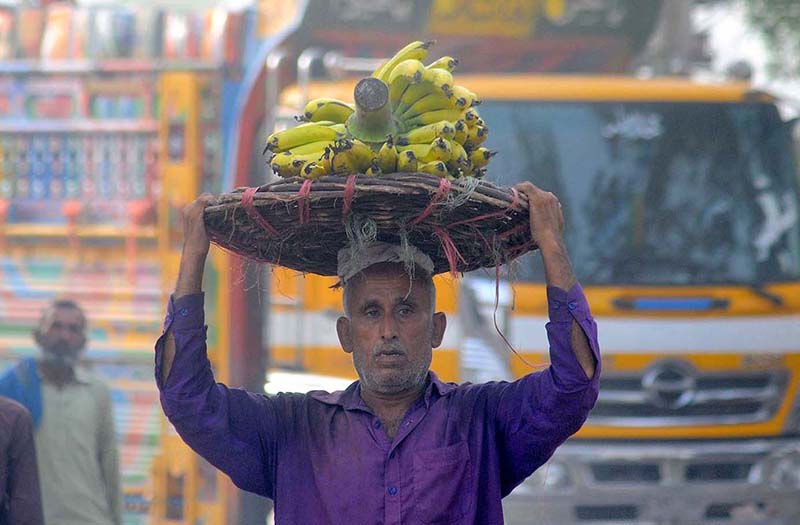 A laborer carrying a basket of bananas on his head during an auction as shopkeepers participate in bidding on fruit (Banana) at a Fruit Market