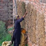 A lady busy in pasting dung cake on the wall, drying to use it as fire fuel in a village