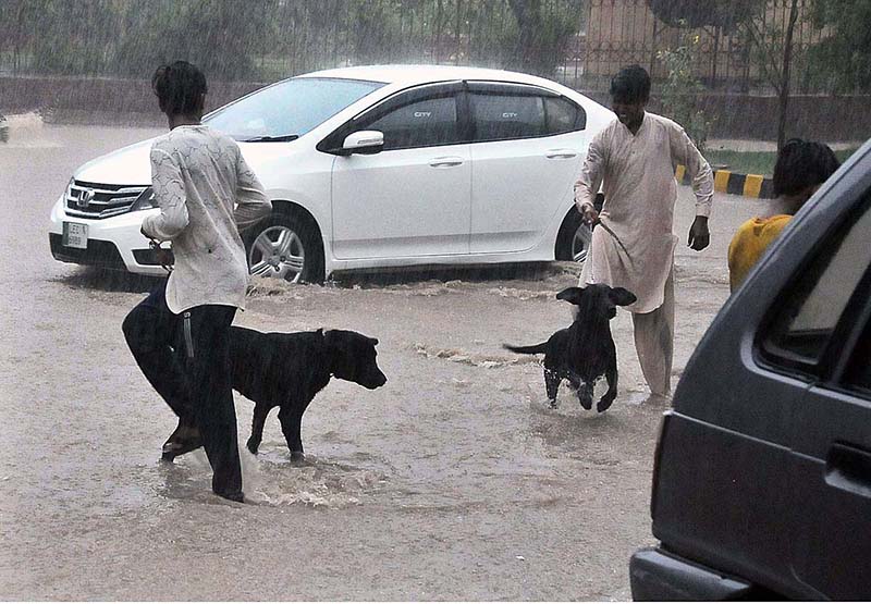 Woman with her son under the cover of a piece of plastic bag to protect herself from monsoon rain in the city