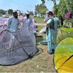 A vendor is selling mosquito nets as a preventative measure against dengue and malaria fever at roadside setup in Provincial City
