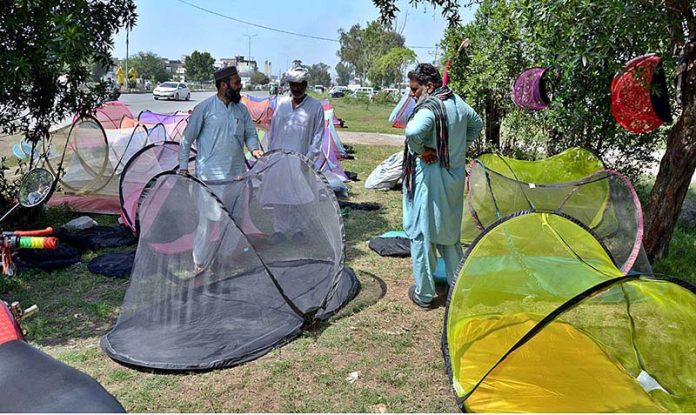 A vendor is selling mosquito nets as a preventative measure against dengue and malaria fever at roadside setup in Provincial City