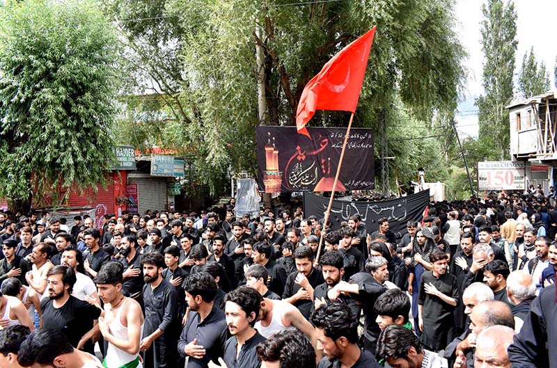 A large number of Shiite Muslims attend the 10th Muharram procession to mark Ashoura. Ashoura is the commemoration marking the Shahadat (death) of Hussein (AS), the grandson of the Prophet Muhammad (PBUH), with his family members and some of his companions massacred in battle of Karbala for the upright of Islam.