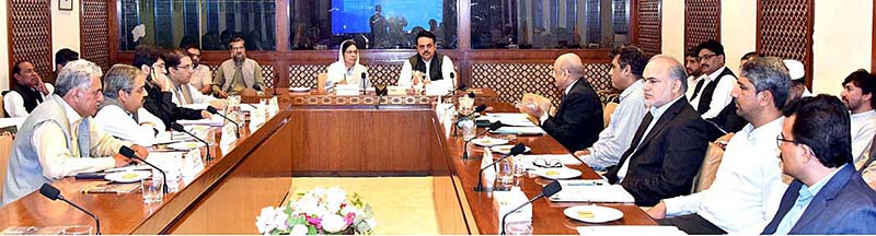 Senator Khalida Ateeb, Chairperson Senate Standing Committee on Industries and Production presiding over a meeting of the committee at Parliament House