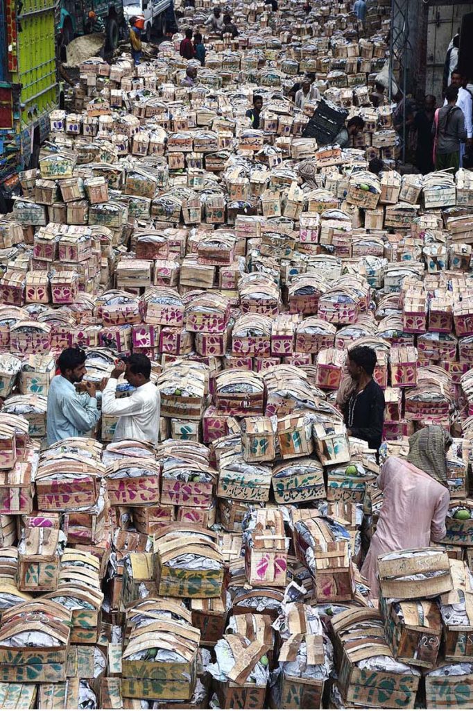 Labourers busy in unloading and arranging the mango (boxes) from vehicles at fruit and vegetable market in the Provincial Capital
